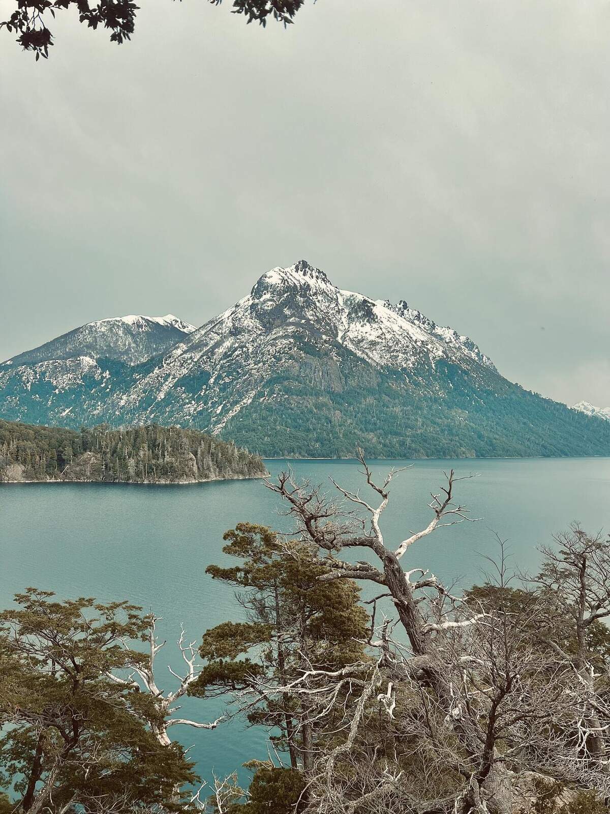 Patagonia Cordillerana 2